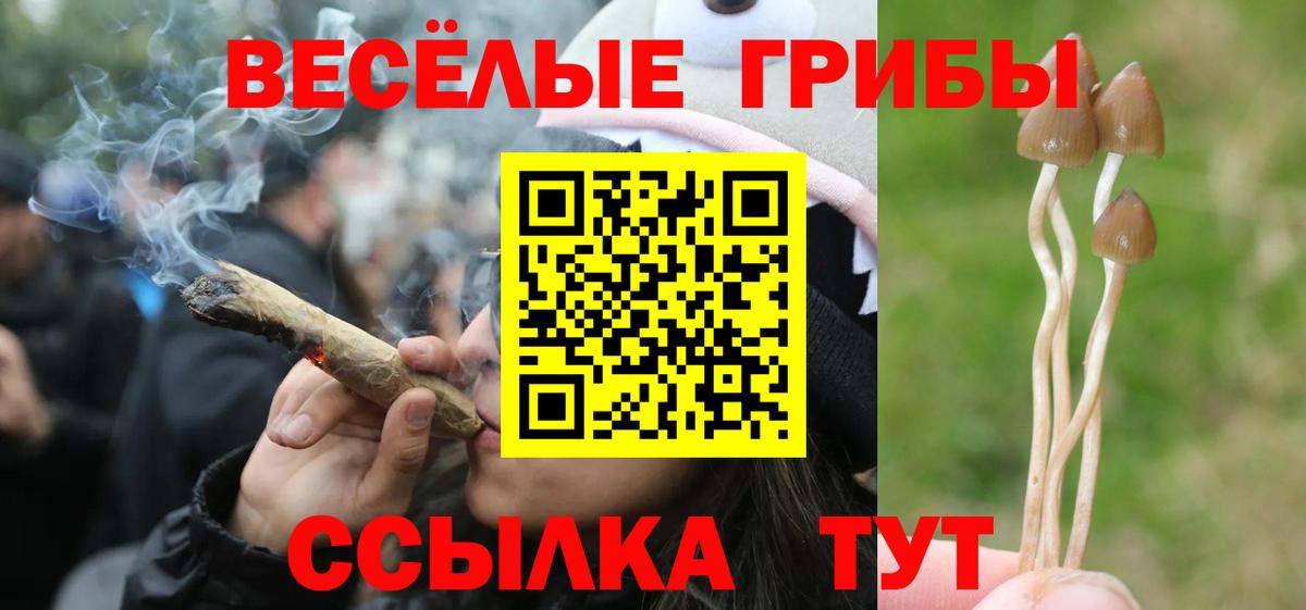 Кызыл  Галлюциногенные грибы Magic Shrooms  Псилоцибиновые грибы Magic Shrooms  Вход с VPN 
