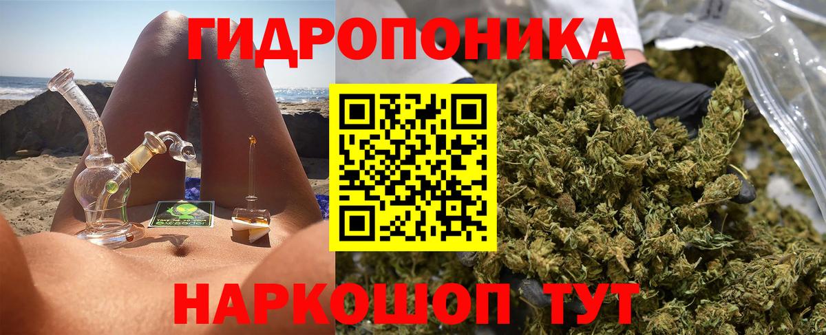 Конопля планчик Кызыл